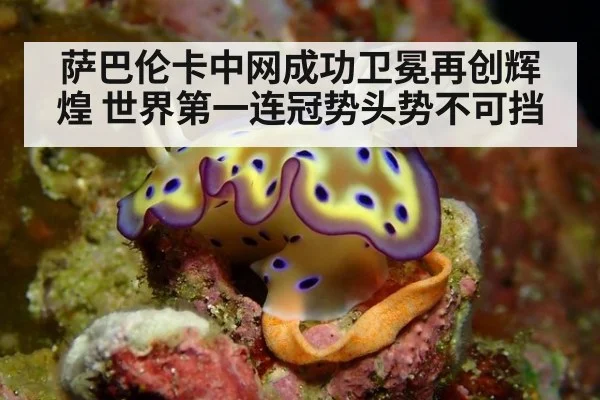 萨巴伦卡中网成功卫冕再创辉煌 世界第一连冠势头势不可挡